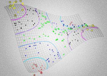 How to Leverage Machine Learning for Your Business