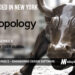 nTopology Raises $65M for its Next Generation Engineering Design Software Platform