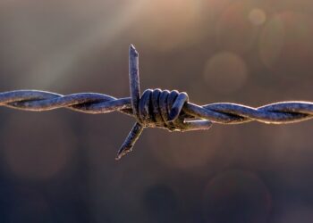 Don’t Let Outdated Innovation Myths Limit Your Career