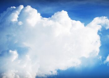 5 Compelling Reasons Why Shared Hosting Is Perfect For Entrepreneurs