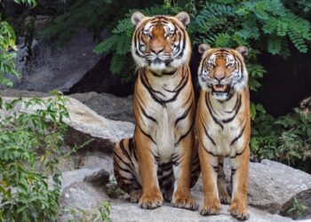 7 Strategies To Create Your Own Market And Win Bigger