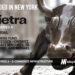 Pietra Raises $15M for its Platform That Empowers Creators to be Entrepreneurs and Build Thriving Businesses