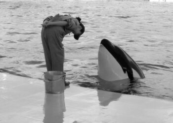 5 Steps for Earning Respect as a Leader