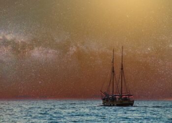 5 Digital Policies Startups MUST Have