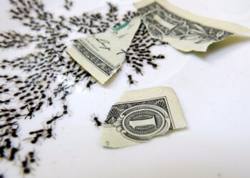 First Comes Smarts, Then Comes Hustle