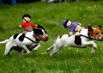 4 Ways to Make Your Startup Competitive