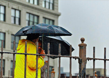 5 Types of Insurance Coverage All Startups Need