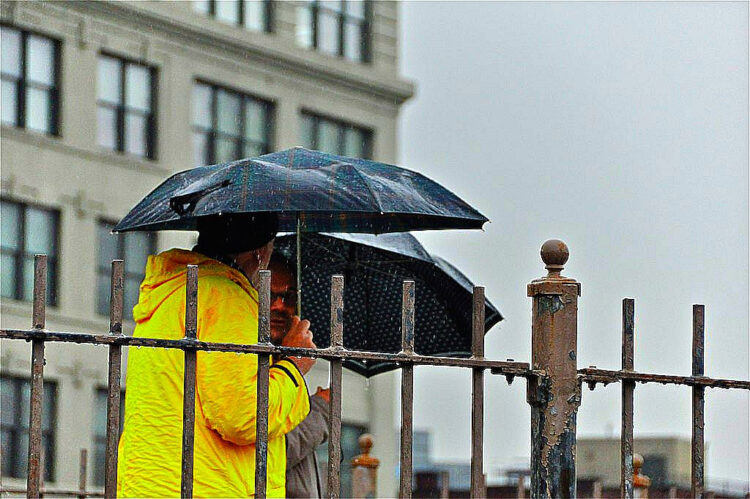 5 Types of Insurance Coverage All Startups Need