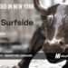 Surfside Raises $4M for its End-to-End Marketing Platform for the Cannabis Industry