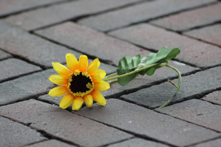 Let Your Entrepreneurial Survival Instinct Guide