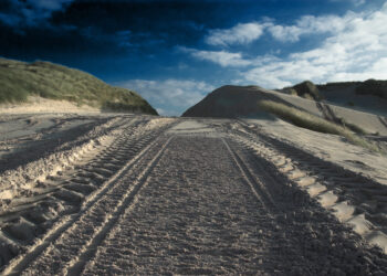 How to Disable Twitter’s Invasive New Ad Tracking