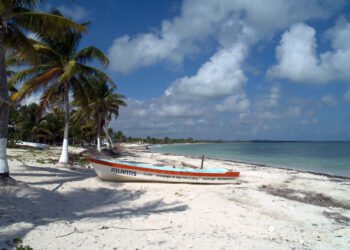 U.S. Startups Should Consider Incorporating Offshore