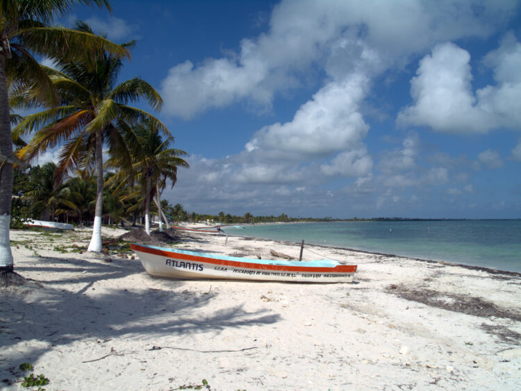 U.S. Startups Should Consider Incorporating Offshore