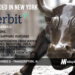 Verbit Raises $157M for its Transcription and Captioning Platform Powered by AI