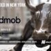 VidMob Raises Another $110M for its Intelligent Creative Management Platform