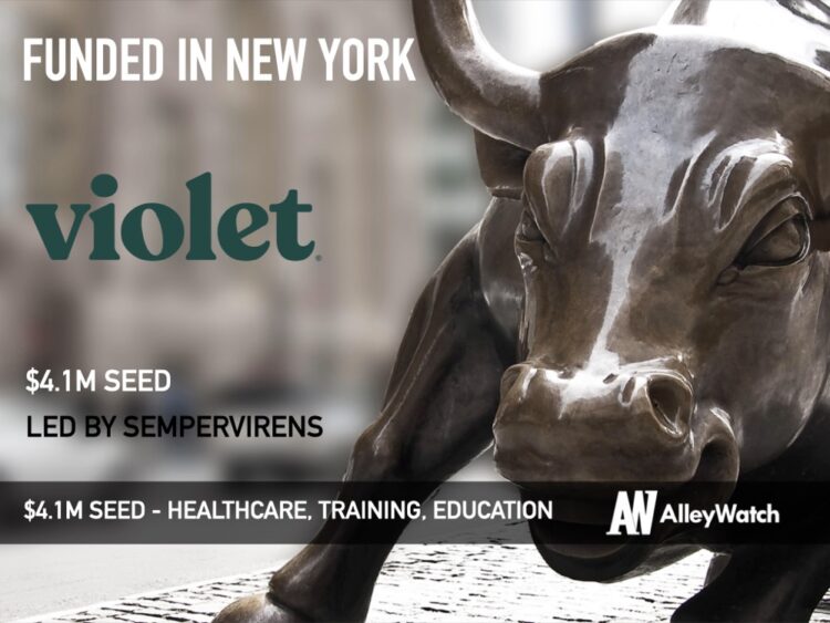 Violet Raises $4.1M to Enable the Healthcare Industry to Deliver More Inclusive Services