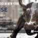 Vise Raises $45M to be the AI-Powered Investment Management Platform for Investment Advisors