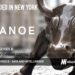 Canoe Intelligence Raises Another $25M for its Data Management and Intelligence Platform for Alternative Investments