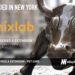 Mixlab Raises Another $10M for its Pet Pharmacy Delivery Service