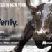 iVerify Raises $4M for its Mobile Security Platform for Both Consumers and the Enterprise