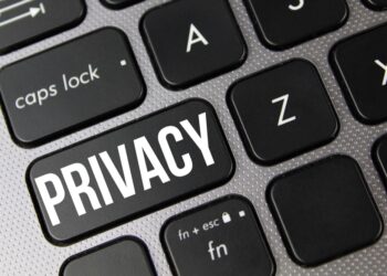 Removing Personal Data from the Internet: Importance, Challenges, and Steps