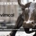 Vimcal Raises $4.5M to Reimagine the Calendar and Scheduling Experience