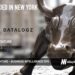 Datalogz Raises $5M to Combat Data Sprawl for Any Organization That Uses BI Tools