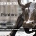 Pontera Raises $60M to Allow Financial Advisors to Help Clients with their 401(k)s and other Retirement Plans