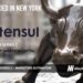 Stensul Raises $34.5M for its Marketing Creation Platform That Lets Enterprises Create Emails, Landing Pages, and Other Assets Efficiently