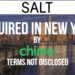 Employee Rewards Platform Salt Labs Acquired by Chime