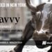 Savvy Wealth Raises $26.5M to Reshape Wealth Management with Cutting-Edge Tech