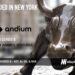 Andium Raises $21.7M Series B to Scale AI-Powered Industrial Field Monitoring Platform