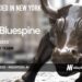 Bluespine Raises $7.2M to Help Self-Insured Employers Fight Medical Overbilling