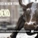 Odeko Raises $96M to Help Independent Food Businesses, Cafes, and Coffee Shops Compete With Global Chains With Technology