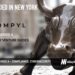 Compyl Raises $12M to Simplify Governance and Compliance