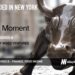 Moment Raises $36M to Replace Spreadsheet-Driven Bond Trading with Unified Platform