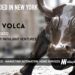 Volca Raises $5.5M to Automate Growth for $500B Home Services Industry