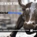 GridStrong Raises $10M to Automate Electric Grid Compliance for Transmission Assets