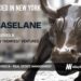 Baselane Raises $20M to Scale AI-Powered Financial Platform for Real Estate Investors