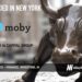 Moby Raises $5M to Bring Actionable Wall Street Research to Retail Investors