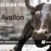 Avallon Raises $4.6M to Automate Insurance Claims Operations with AI Agents