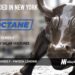 Octane Raises $100M to Scale Digital Financing Platform Across $150B Recreational Markets