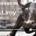 Limy Raises $10M to Help Brands Control Visibility and Revenue in AI-Driven Commerce
