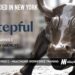 Stepful Raises $55M to Break Healthcare’s $97B Dependence on Contract Staffing
